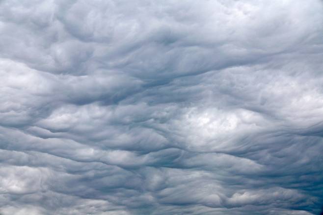 1일 서울 하늘의 구름이 거친 물결 모양을 하고 있다. 이 구름은 ‘거친물결구름’으로, 찬 공기와 따뜻한 공기의 충돌로 대기가 불안정해지면서 만들어진 것으로 추정된다. /뉴스1