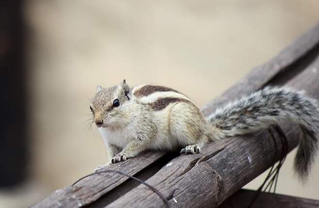 7eec9e2cf5d518986abce89543887368e190c1