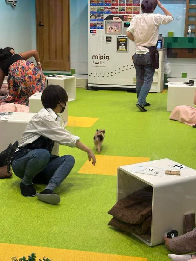 7b98f372b28168f323998191469c701e6feba8243678c53caf5b58da611cf547ef5df3058b65154fc1c3915a3ffbc60cecf77f81