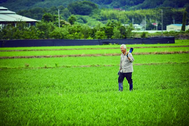 새벽부터 논의 물고를 보러 삽을 메고 간다. 굿거리장단이 마중 나왔는지, 남실바람이 슬슬 분다. “청 노새 청노새” 춤판의 불림소리가 들리니, 농사꾼에겐 논두렁길이 풍류의 길이다. ‘라운드테이블’ 이진환 제공