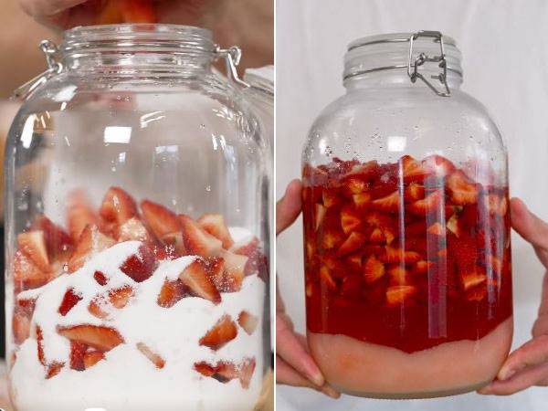 최근 유튜브, 틱톡 등 해외 SNS에서 ‘과일청’을 만드는 영상이 화제다. /사진=유튜브 채널 닉지오바니 캡처