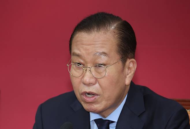 권영세 국민의힘 비상대책위원장