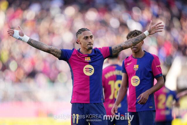 하피냐./게티이미지코리아