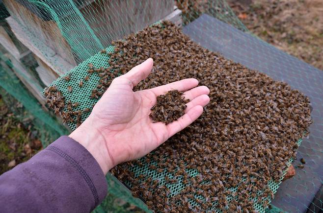 [게티이미지뱅크]