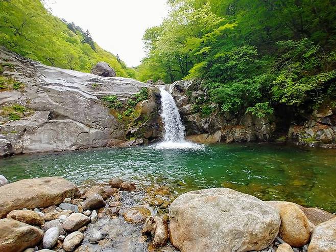 [함양=뉴시스] 지리산 칠선계곡 (사진=함양군 제공) 2025. 05. 01. photo@newsis.com *재판매 및 DB 금지