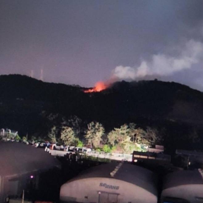 포항 문덕리 야산 화재. 경북소방본부 제공