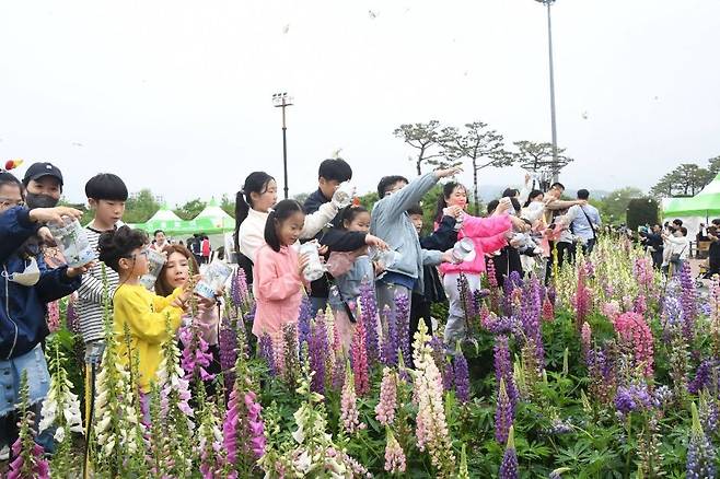 함평나비축제. 한국관광공사 제공