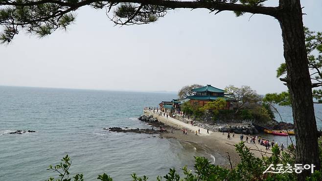 간조 때 뭍과 이어진 서산 간월암의 모습. 간월암은 밀물이 들어오면 암자 모습이 물에 든 연꽃과 같다고 연화대(蓮花臺)라고 불렸다    충남｜김재범 기자 oldfield@donga.com