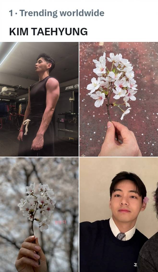 "꽃보다 김태형♥" 방탄소년단 뷔, 감성 벚꽃+탄탄 근육