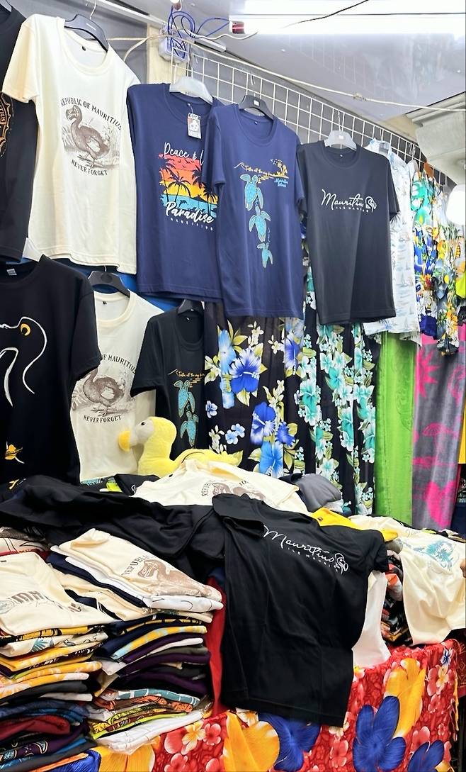 모리셔스 포트 루이스 시장에 걸린 도도새 티셔츠 도도새는 17세기 멸종되었지만, 현재는 모리셔스의 자연유산을 상징하는 일종의 마스코트다. 2024.7.25.[이은별 제공. 재판매 및 DB 금지]