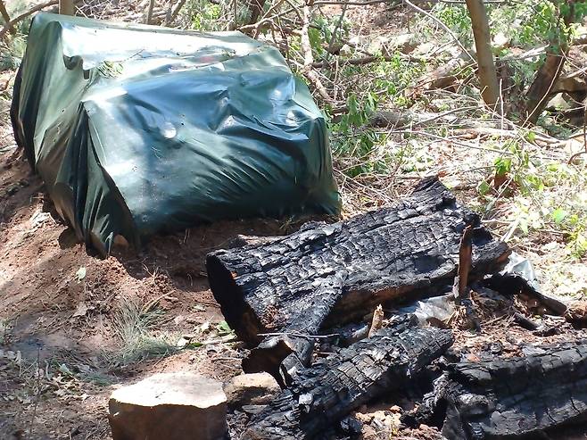 함지산 산불 현장서 발견된 불에 탄 나뭇더미 [독자 제공. 재판매 및 DB금지]