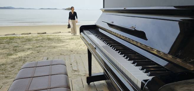 신안군 자은도 피아노섬에서 열린 '2025 피아노섬 축제' ⓒ제주의소리 김봉현 선임기자