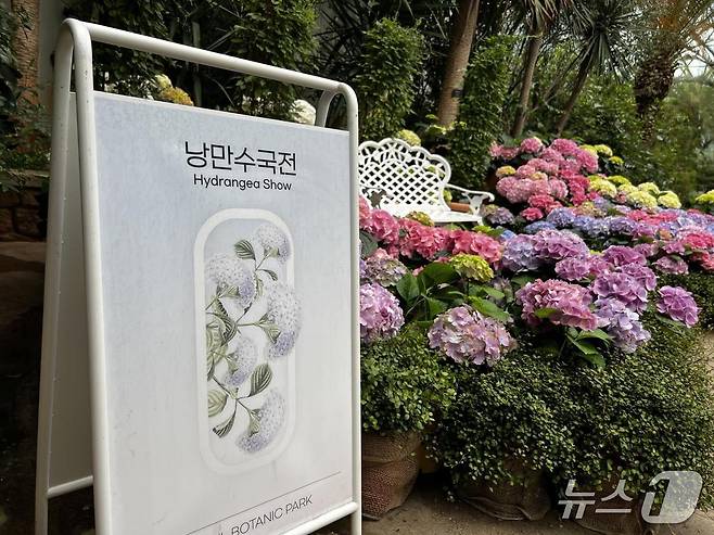 서울식물원 낭만수국전.