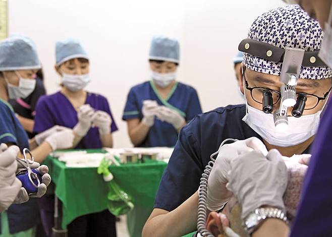 /노블라인 모발이식센터 제공