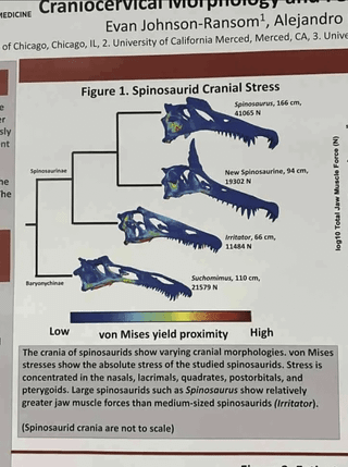 7fed8273a8c128af60b0c5b403c33770d2e41f50fb48391d9f29d780eba6f5312a1164c70c1b90a27974470b6b69a231d5ca1153f910320496d2e432036168bd24a26cd651c0c9d7d62c