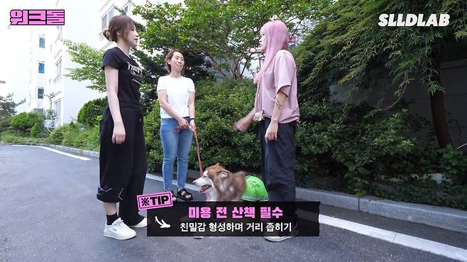 CmsHka 대형견 목욕알바 했다가 미친 시급에 깜짝 놀란 알바생 근황 ㄷㄷㄷ..JPG 대형견 목욕알바 했다가 미친 시급에 깜짝 놀란 알바생 ㄷㄷㄷ..JPG