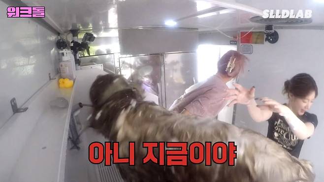 izadlZ 대형견 목욕알바 했다가 미친 시급에 깜짝 놀란 알바생 근황 ㄷㄷㄷ..JPG 대형견 목욕알바 했다가 미친 시급에 깜짝 놀란 알바생 ㄷㄷㄷ..JPG