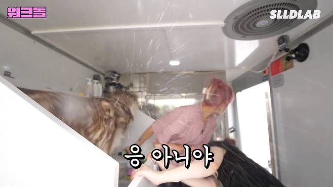 CtWuRd 대형견 목욕알바 했다가 미친 시급에 깜짝 놀란 알바생 근황 ㄷㄷㄷ..JPG 대형견 목욕알바 했다가 미친 시급에 깜짝 놀란 알바생 ㄷㄷㄷ..JPG