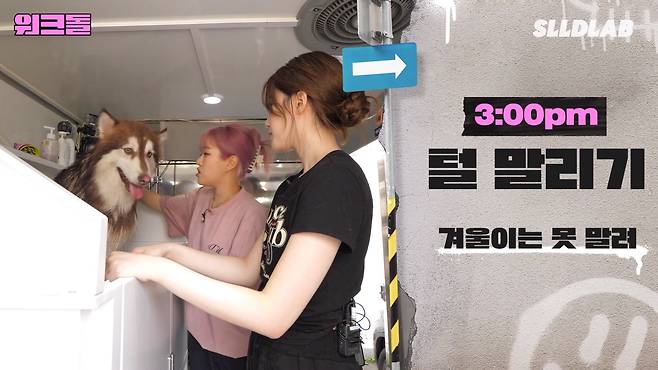 lAmbKX 대형견 목욕알바 했다가 미친 시급에 깜짝 놀란 알바생 근황 ㄷㄷㄷ..JPG 대형견 목욕알바 했다가 미친 시급에 깜짝 놀란 알바생 ㄷㄷㄷ..JPG