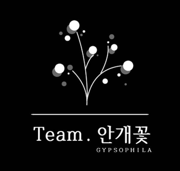 팀 안개꽃