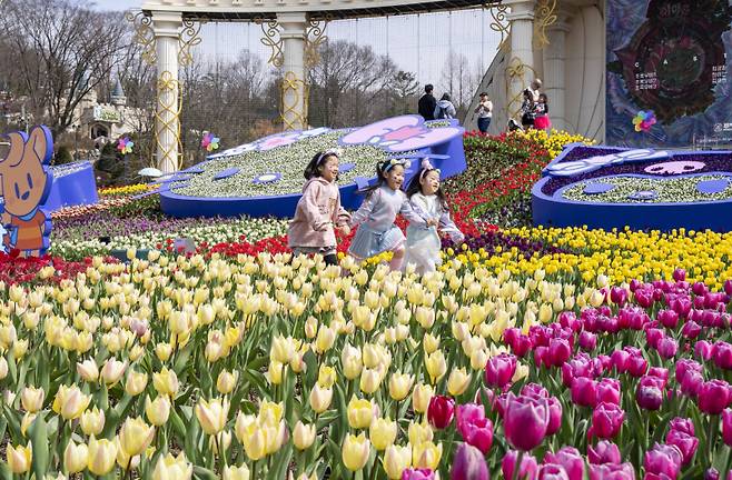에버랜드, 산리오캐릭터즈 콜라보 '튤립축제'&nbsp;