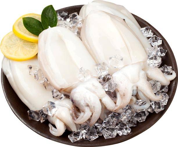 갑오징어 / 사진 = 해양수산부