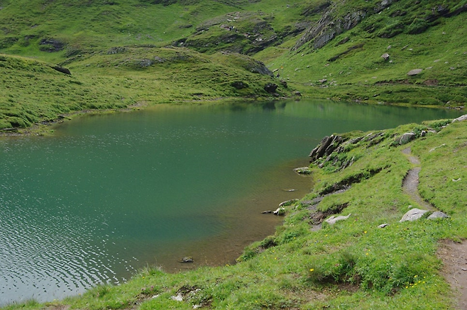 그린델발트 / 사진=pixabay