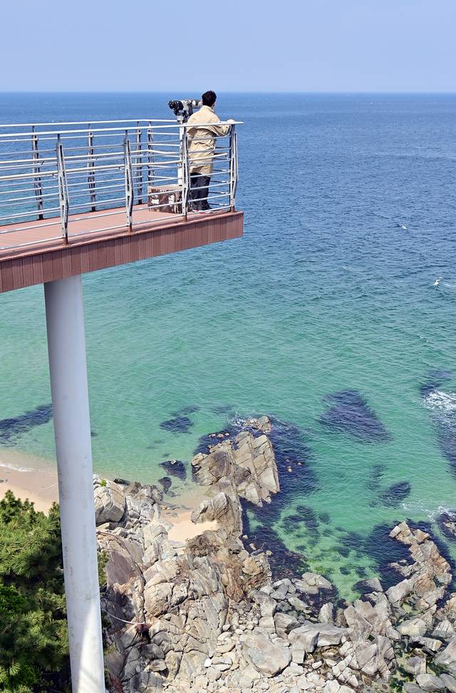 울진·영덕 당일치기 바다여행 일정에 포함된 경북 울진의 7번 국도 망양휴게소.