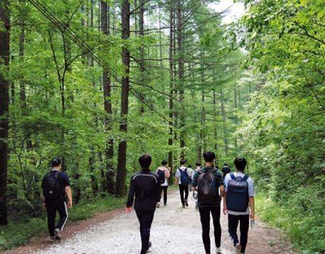 [대전=뉴시스] 경북 울진 소광리 임도.(사진=산림청 제공) *재판매 및 DB 금지