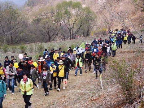 [대전=뉴시스] 충남 금산 산안리 임도.(사진=산림청 제공) *재판매 및 DB 금지