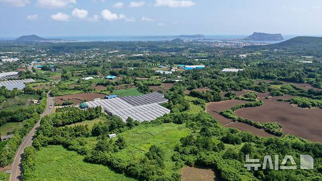 [서귀포=뉴시스] 우장호 기자 = 국토교통부는 6일자로 '제주 제2공항 건설사업' 기본계획 고시를 예고했다. 이번에 고시되는 기본계획에 따르면, 제주 제2공항 건설사업의 총사업비는 5조4532억원(1단계 사업 기준)으로, 주요 시설로는 활주로, 유도로, 계류장, 여객터미널, 화물터미널 등이 포함된다.국토부는 기본계획 고시에 이은 후속 절차로 기본설계와 환경영향평가 등에 착수한다. 5일 제주 서귀포시 성산읍 상공에서 제2공항 예정 부지를 바라본 모습. 2024.09.05. woo1223@newsis.com