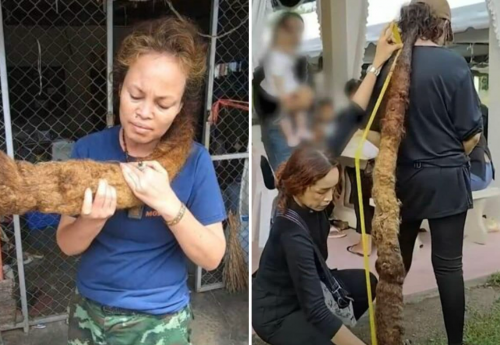 50대 태국 여성이 머리카락에 초자연적인 힘이 깃들어 머리를 자르지 못했다고 주장해 화제가 됐다. 이 여성이 10년 동안 기른 머리카락은 1.17m에 이른다. 출처=matichon·thethaiger