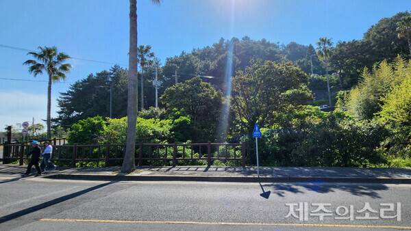 푸드트럭 대신 2단계 사업으로 개발 계획이 검토 중인 공원지역 공유지. ⓒ제주의소리