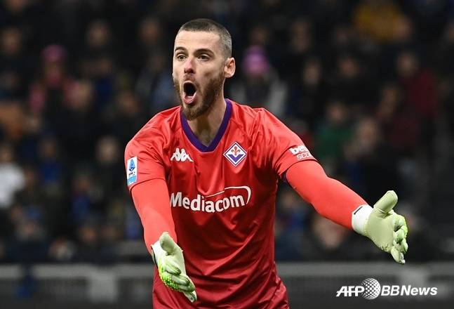 피오렌티나 골키퍼 다비드 데 헤아. /AFPBBNews=뉴스1