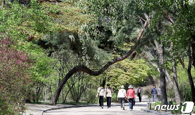 맑은  날씨.(자료사진)/뉴스1 DB