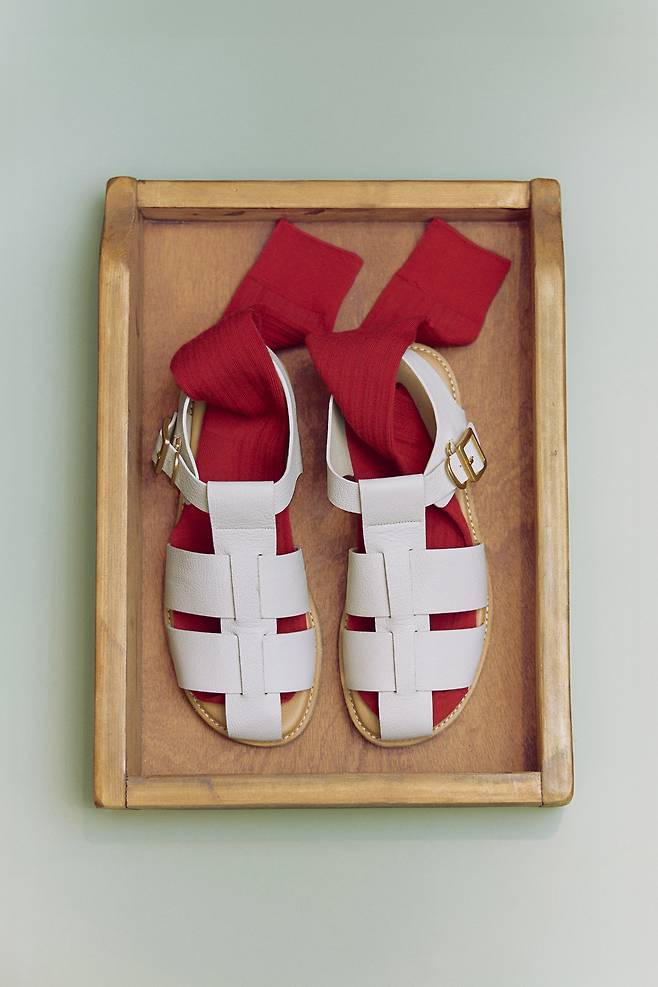 (아떼바네사브루노제공)