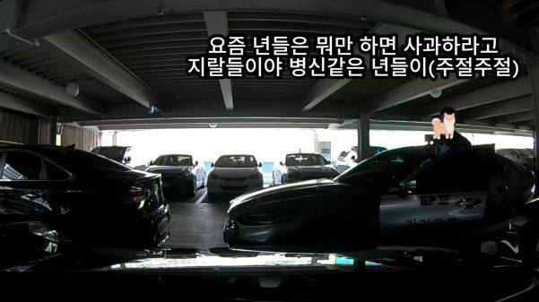 (온라인 커뮤니티 '보배드림' 갈무리)