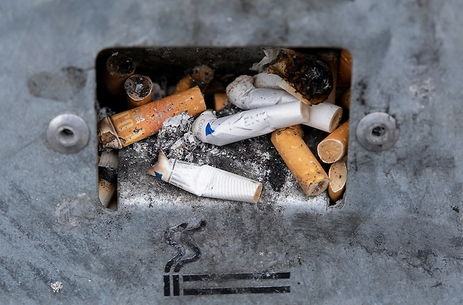 기존 담배는 오랫동안 인체 건강에 심각한 해를 끼치는 것으로 알려져 왔다