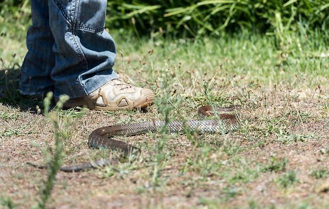 ⓒ게티이미지뱅크