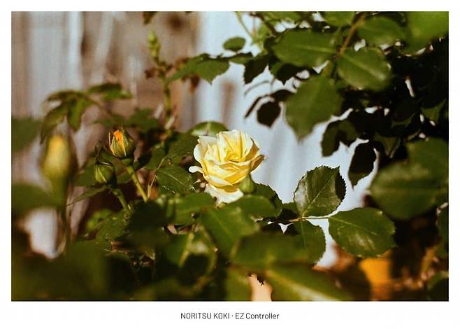 0998f37fbd801bf3239983e4409c7068fbc07c704f8224623e3c8c2b7423da4a5fe51478ea96cd17151162890ba9ae61884cfc5869