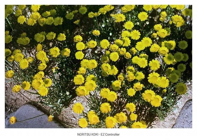 7ee58575c1f61985239df0e6429c706498d297b3c6bf748510007cd1ea0159322bfb844deb3df391e6e01125f881c30156ff8c0c9b