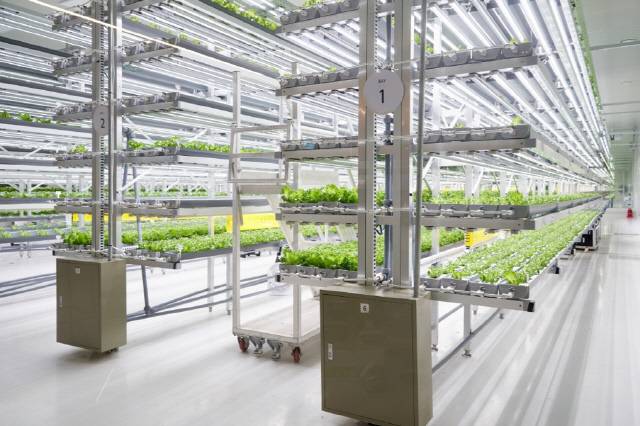 사진제공=용인특례시