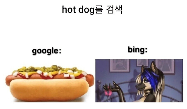 image.png 서양인들이 느끼는 검색엔진의 차이점 .jpg