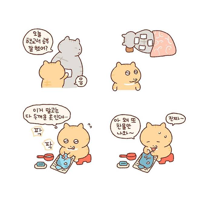 274588107_936647167017045_9162525407097137072_n.jpg 콩물이의 빨래.manhwa 콩물이의 빨래.manhwa