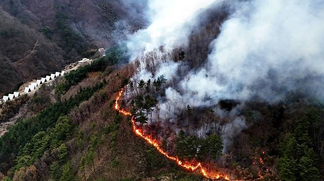 지난달 27일 오후 지리산국립공원과 맞닿은 경남 산청군 구곡산에 난 산불이 마을쪽으로 향하고 있다. 2025.03.27. /사진=뉴시스