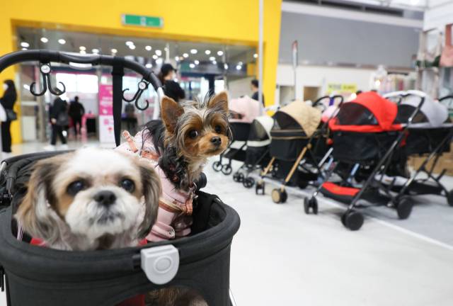 [사진 = 연합뉴스]