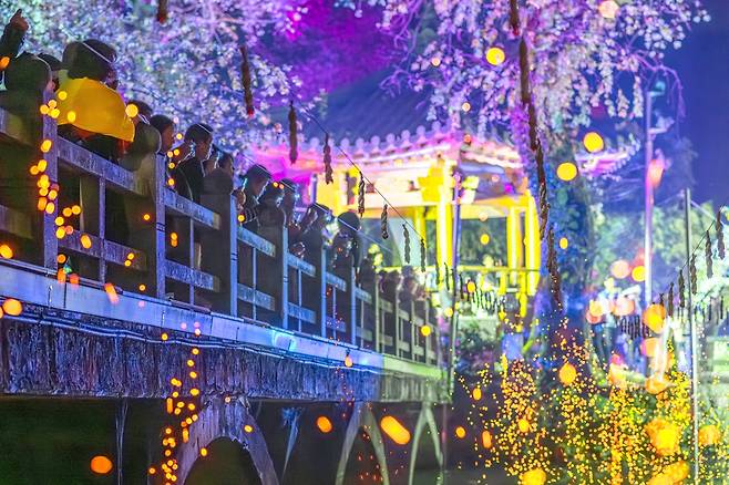 일본인 관광객들이 ‘조선의 불꽃놀이’ 낙화를 즐기고 있다.