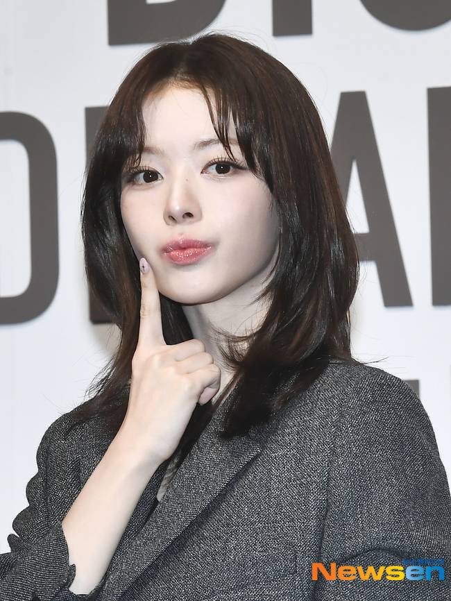 노정의, 뉴스엔DB