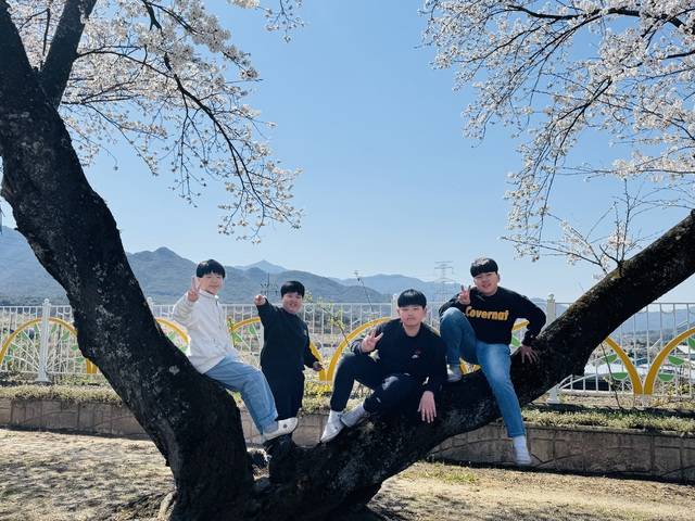 남원 이백초 6학년 1반 학생들 김민우·김예준·정의빈·진찬민(가나다 순) 학생이 벚꽃 아래에서 활짝 웃고 있다. 남원 이백초 제공