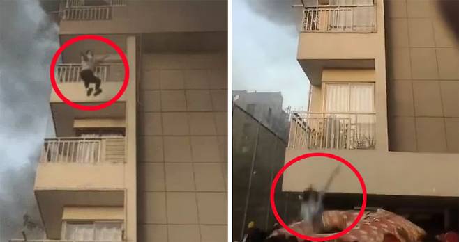 사진출처=다이닉 바스카르